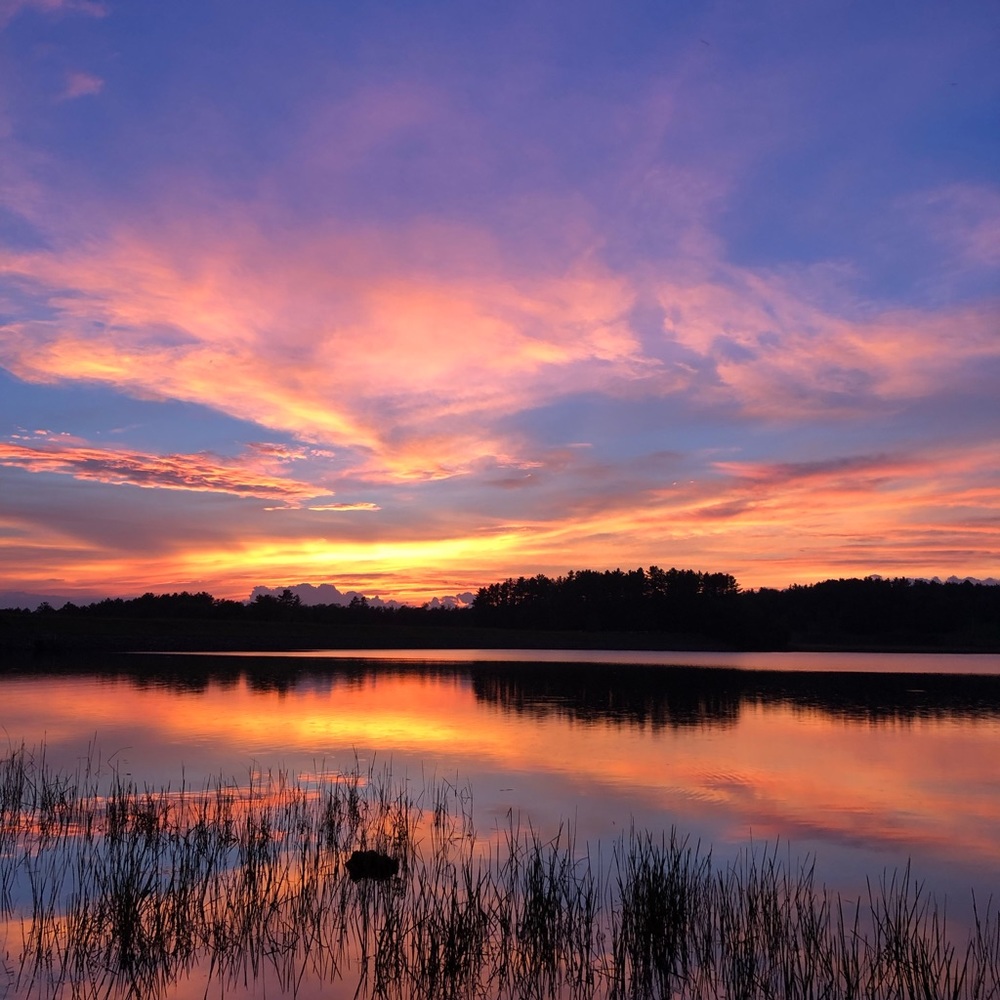 Meet your Posher, Drew